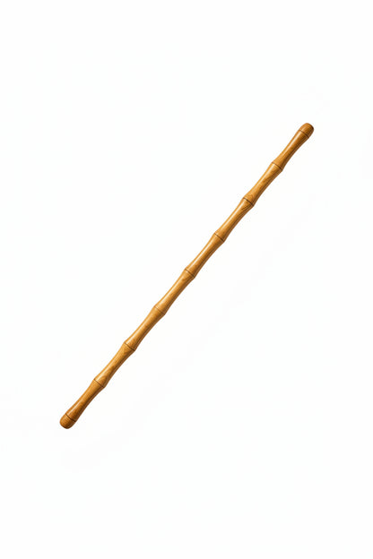 Holding Stick for Defence forces officers