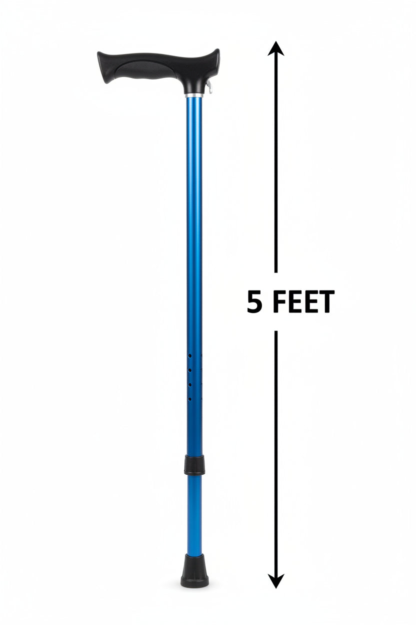 T Handle Hicking Blue Stick