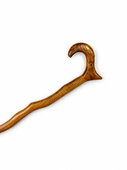 Sher Dil Walking Stick