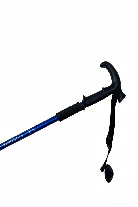 T Handle Hicking Blue Stick