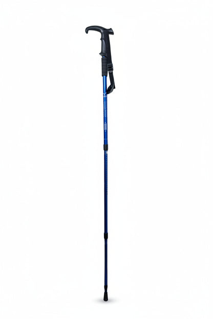 T Handle Hicking Blue Stick