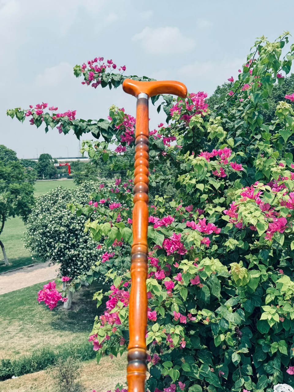 Premium Wooden Walking Cane