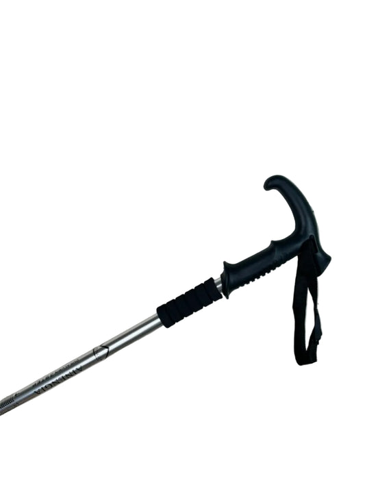 T Handle Hicking Silver Stick