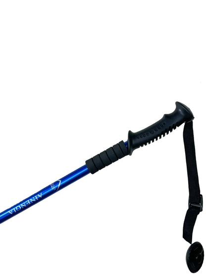 Ergonomic Grip Handle Hicking Blue Stick